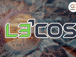 l3cos, cbdc, central banks, finance, IMF, BIS, Stablecoin,