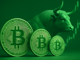 Bitcoin Surges Back Above $92,000: Here's What is Driving the Recovery